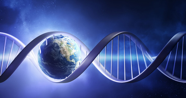 Scientific Research: Life Can Exist in Many Places in the
