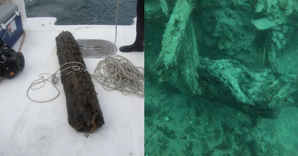 Scientists Conducted an Expedition to Explore an Ancient