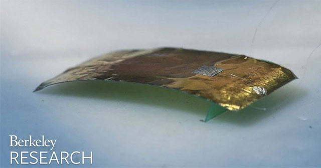 Scientists Create Cockroach Robots That Run Super Fast, Step Back