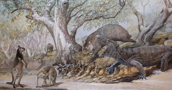 Scientists Find the True Cause of the Giant Animal