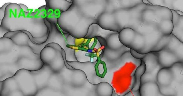 Scientists Identify Target Receptors for the Treatment