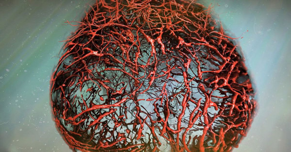 Scientists Successfully Cultivate the Perfect Human Vascular System
