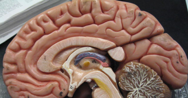 Scientists Teach AI to Diagnose Brain Cancer