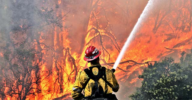 Scientists Use AI to Predict Large-scale Wildfires