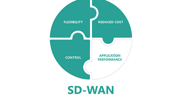 Sd-wan Security Options