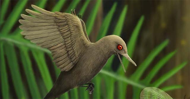Secrets About the World's Smallest Dinosaur Revealed in