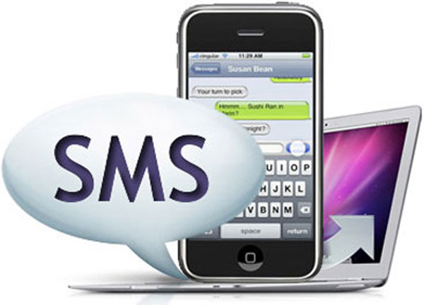 Set the System to Automatically Send Alert SMS When the Website