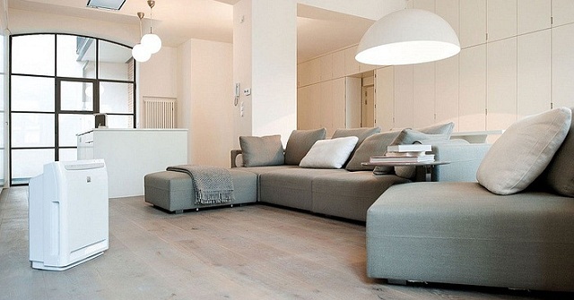 Share the Address to Buy Reputable Air Purifiers, Good Prices in