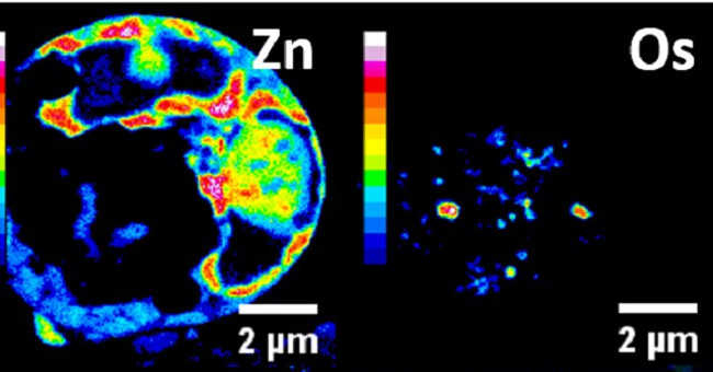 Shivered to Discover That the Metal-organic Compound Kills Cancer Cells from Within