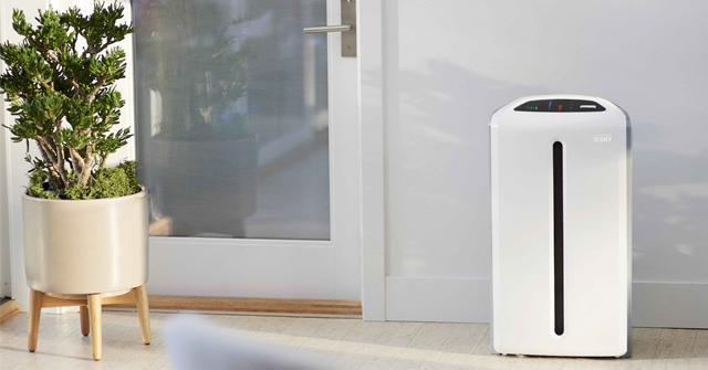 Should Choose Dehumidifier or Dehumidifying Air Purifier for the