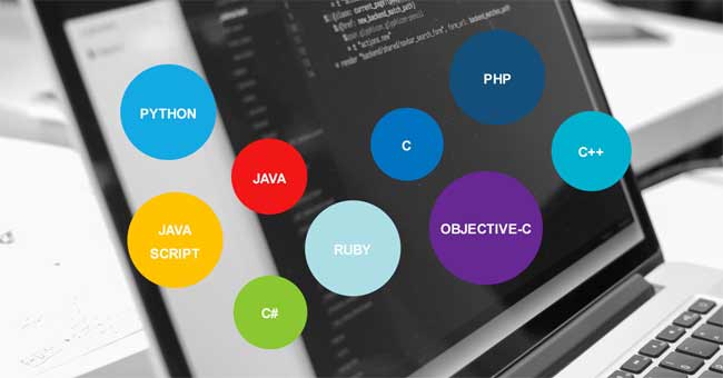 Should We Learn Many Programming Languages or Just One