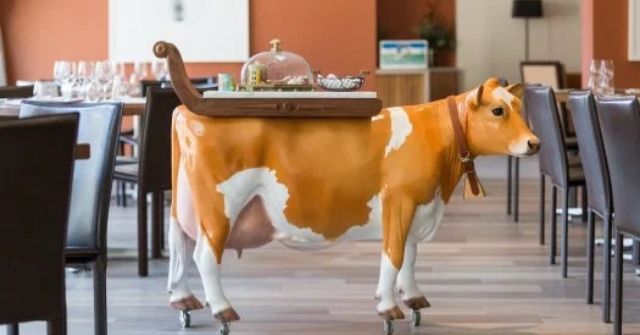 Should We Use Food Trolleys to Serve in Restaurants and