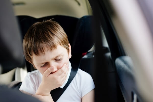 Should You Buy an Air Purifier and Deodorize Your Car?