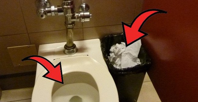 Should You Throw Toilet Paper into the Toilet or Trash