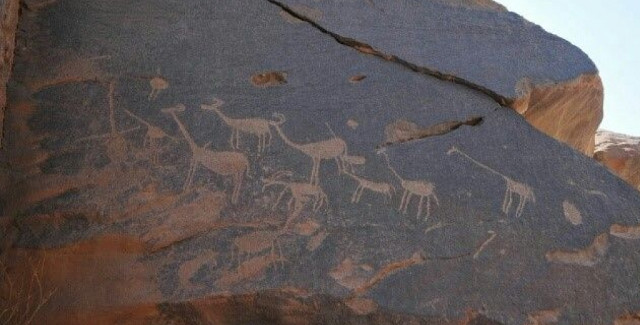 Signs of Ancient Wildlife Discovered in South Aswan