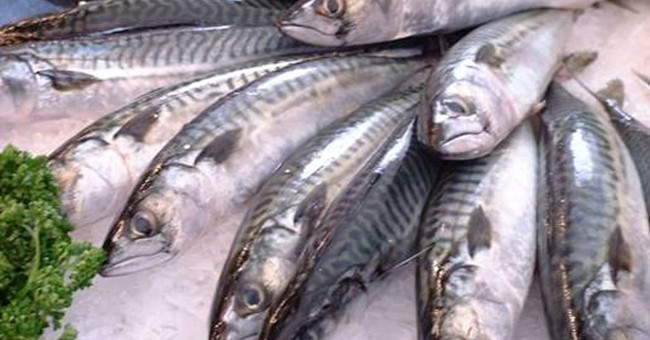 Simple Tips Make It Easy to Identify Fresh, Delicious Fish