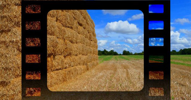 Simulate the Quality of Film Images in Digital Photos with Photoshop