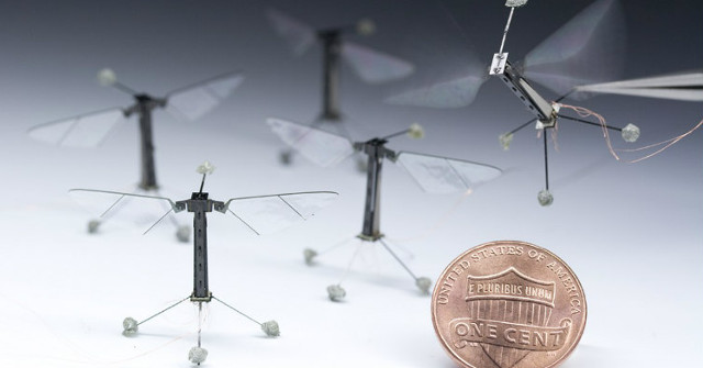 Small Autonomous Robots Can Think and Act Like Insects