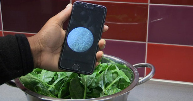 Smartphone-based System Can Detect Bacteria in Food