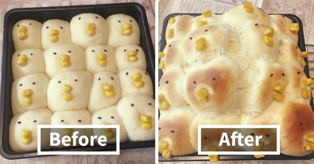 Smiling Leaning with 20+ Images of Kitchen Disaster Beyond
