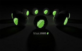 Some Basic Terminal Commands in Linux Mint 11