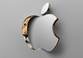 Some Common Problems of Mac OS X Lion