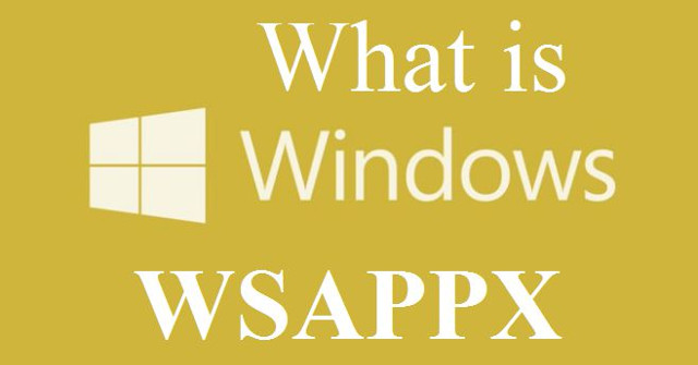 What Is Wsappx: Something About Wsappx in Windows
