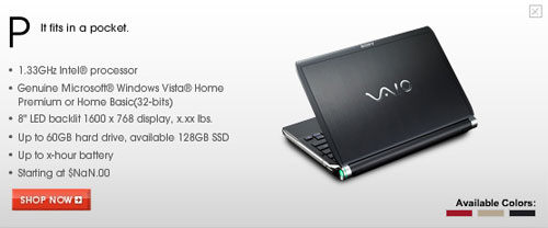 Sony Vaio Netbook Revealed