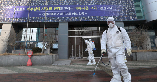 South Korea Has a Similar Pattern of Deaths Due to Covid-19