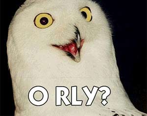Hoots: Spread the Virus to Print a Picture... the Owl