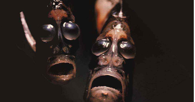 Startling the Monstrous Creatures with Faces from. Hell