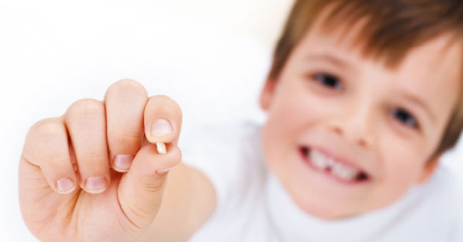Storing Stem Cells from Baby Teeth Can Save Your Baby in the Future