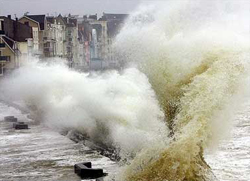 Computers: Storm Worm Caused 'Waves' in Cyberspace