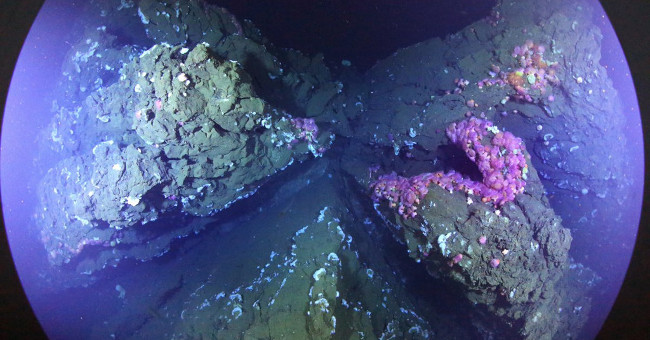 Strange Beauty of Lava Pillow Under the Atlantic Ocean