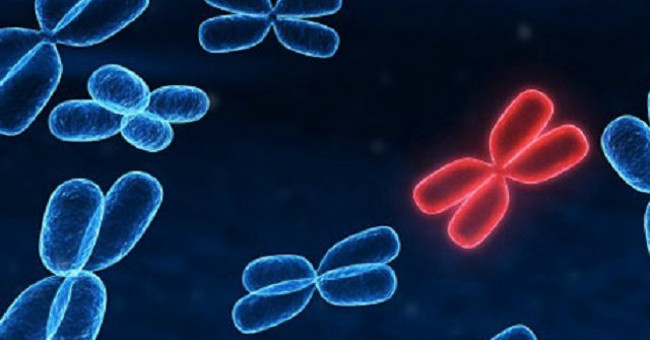 Strangely, People with 45% Burns Are Healed Quickly with Stem Cell Therapy
