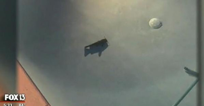 Strangely, the Catfish from the Sky to the Pool Is Still Alive