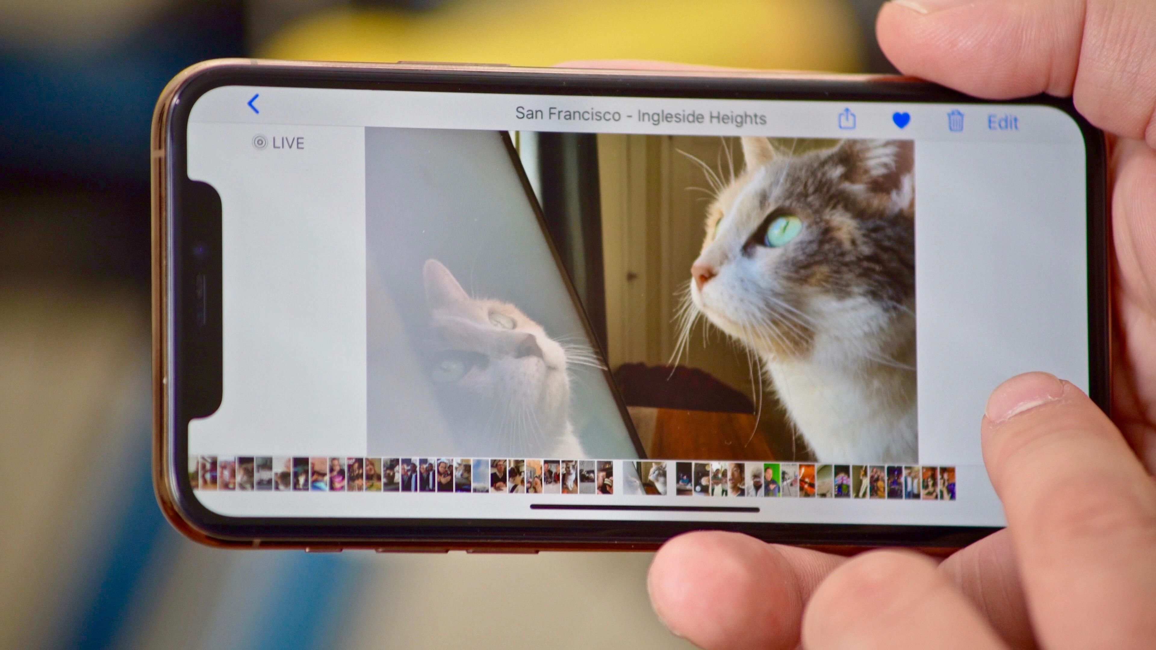 Stuck at Home? Use iPhone Photos to Relive Memories and View