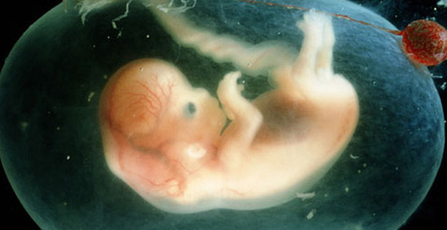 Successful Genetic Modification Helps People Not to Be Afraid of Disease