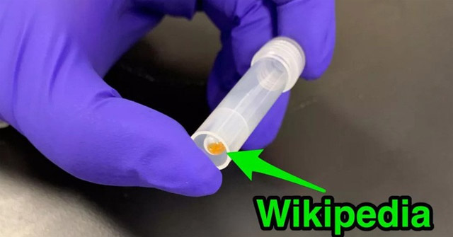 Successfully Compressed 16gb of Wikipedia Text Data into Dna