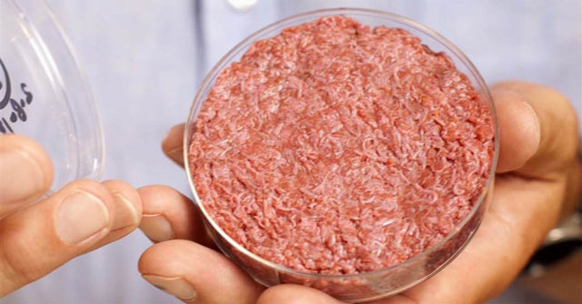 Artificial Meat: Successfully Manufactured Meat from the Air
