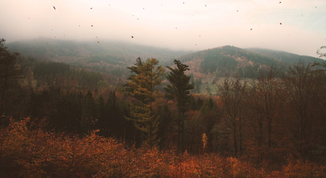 Summary of Autumn Wallpapers for Computers, Laptops 2018
