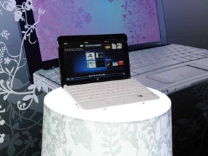 Surf 3G VinaPhone Using HP Computer