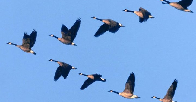 Surprise with the Record of Altitude in the World Is Unknown