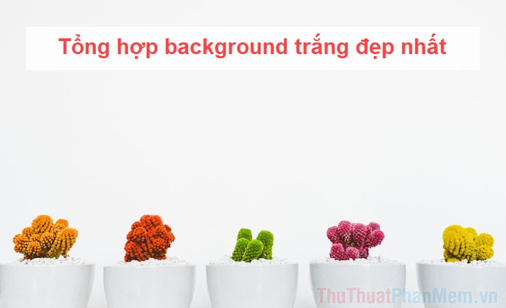 Synthesis of the Most Beautiful White Background