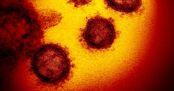 Taking Covid-19 Virus Image at Atomic Resolution, Scientists