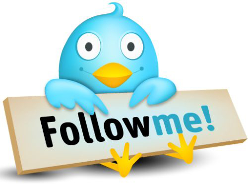The 17-year-old Hacker 'Devastated' the Twitter Network