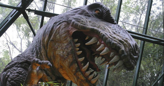 The 66-million-year-old Rare Dinosaur Fossil Was Found in Colorado