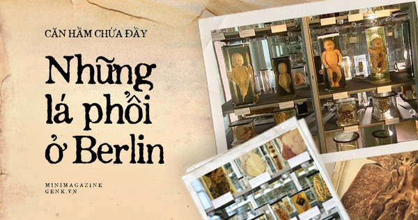 The Basement Is Filled with Lungs in Berlin and the Telescope