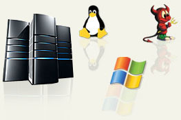 The Basic Advantages of Linux Servers and Window Servers