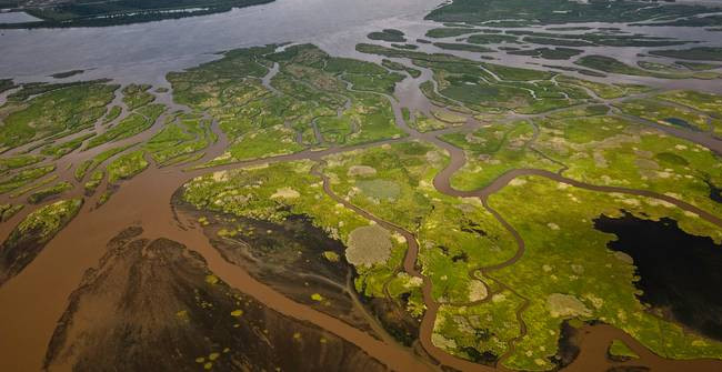 The 'Dead Zone' on the Ocean Threatens the Life and Ecosystem of Many Seas